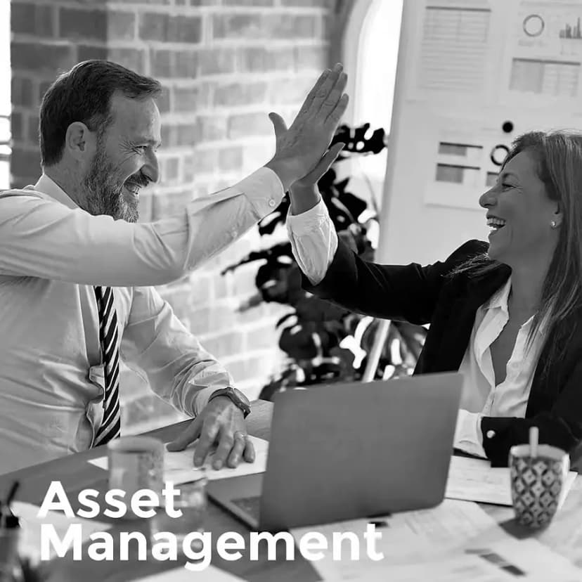 Asset Management