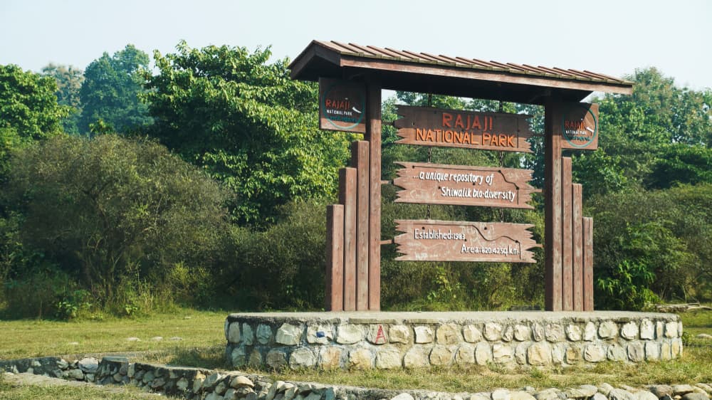 rajaji national park, your wild escape in rishikesh's backyard